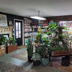 Cyndi's Garden