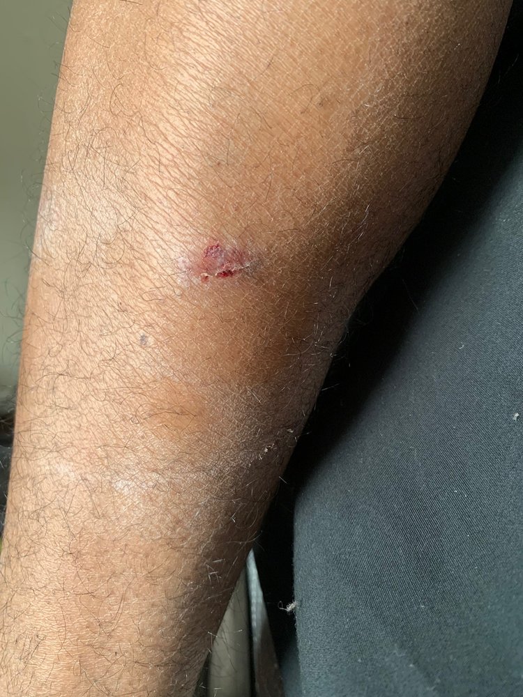 AVERY PARK APARTMENTS Updated October 2024 4845 Bontura Dr, Memphis