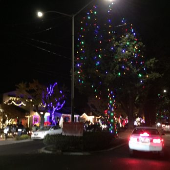 Christmas Tree Lane - Local Flavor Near Me - Alameda, California