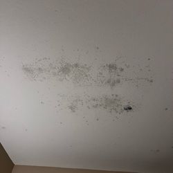 Comfort Inn & Suites - Black mold on ceiling Room 126