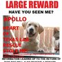 Photo of Heart of Texas Lab Rescue