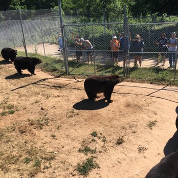 Oswald's Bear Ranch - Zoos Near Me - Newberry, Michigan