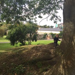 St. Enda's Park - Spot of adventuring