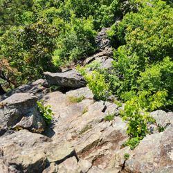 Bearfence Mountain - Then the last part of the scramble. Takes a lot of energy and troubleshooting.