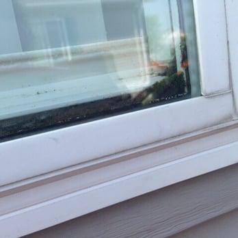 Meadow Creek - Mold in window - Mobile Home Dealers Near Me - New Haven, Michigan Meadow Creek - Mold in window - Mobile Home Dealers Near Me - New Haven, Michigan