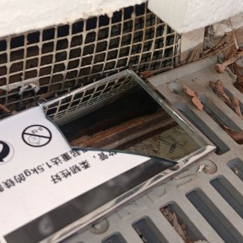 Done Right Rodent Proofing - Pest Control Near Me - Novato, California