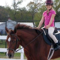 Saddle Up Riding Club - Diamond  (26 year old mare)  Even senior horses have value, she loves her job!  Well taken care of to be working at 26!