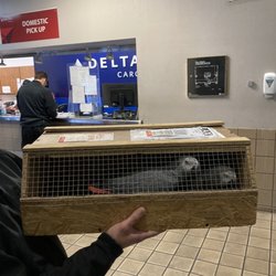 Palenzuela Feed Pet Store - Delta Cargo