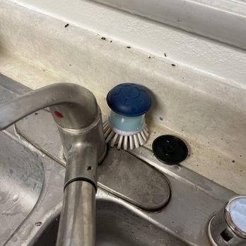 Kapilina Beach Homes - Gecko poop all along the sink in the kitchen - Apartments Near Me - Ewa Beach, Hawaii Kapilina Beach Homes - Gecko poop all along the sink in the kitchen - Apartments Near Me - Ewa Beach, Hawaii