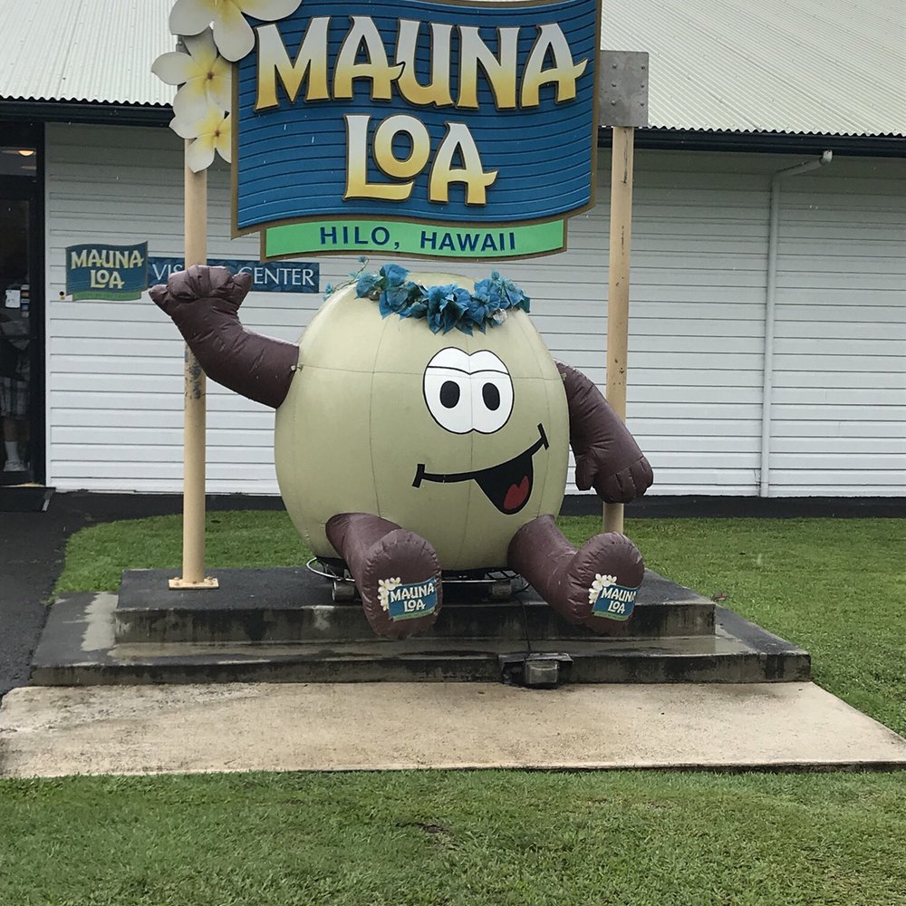 Mauna Loa Macadamia Nut - Chocolatiers & Shops Near Me - Keaau, Hawaii Mauna Loa Macadamia Nut - Chocolatiers & Shops Near Me - Keaau, Hawaii