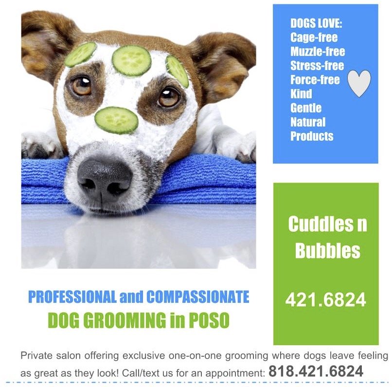 CUDDLES N BUBBLES GROOMING 18 Photos Tobias Ave, Sherman oaks
