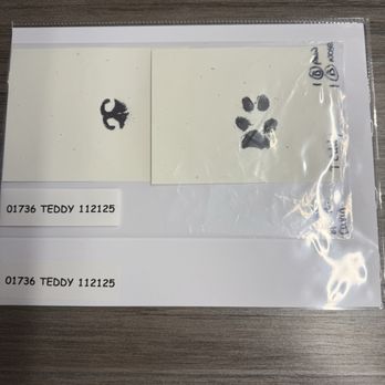 Small Paws Cremations - Pet Cremation Services Near Me - Los Angeles, California
