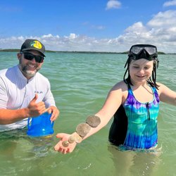 Need for Sea Boat Tours - Sand Dollars!