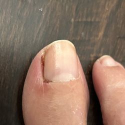 Utopia Salon - Ouch