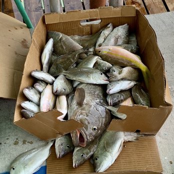 Marathon Lady - Our catch of the day - Fishing Near Me - Marathon, Florida
