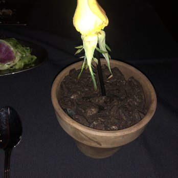 Alchemi - Final rose - American Near Me - Royal Oak, Michigan Alchemi - Final rose - American Near Me - Royal Oak, Michigan