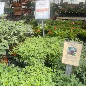 Paul Bounds - Nurseries & Gardening Near Me - Picayune, Mississippi