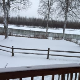 Looking out of our window toward the Susitna River. Looking out of our window toward the Susitna River.