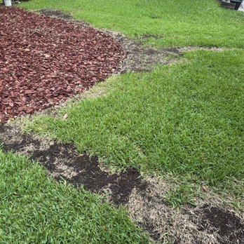 Joles Tree Services - Three areas of damaged lawn. Cost of repairing- $300 - Tree Services Near Me Joles Tree Services - Three areas of damaged lawn. Cost of repairing- $300 - Tree Services Near Me