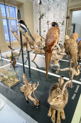 Naturkundemuseum by null