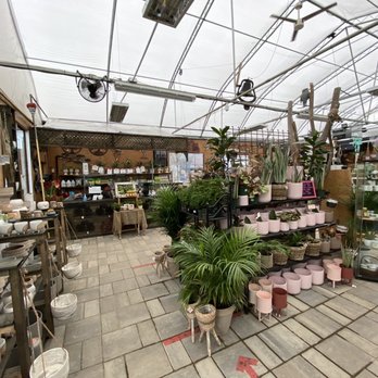 Anga's Farm & Nursery - Anga's Farm & Nursery - bright store - Nurseries & Gardening Near Me - Etobicoke, Ontario Anga's Farm & Nursery - Anga's Farm & Nursery - bright store - Nurseries & Gardening Near Me - Etobicoke, Ontario
