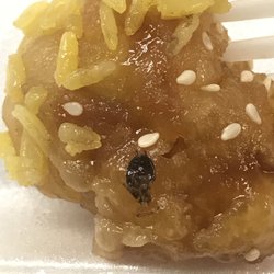 New Dragon - This is what I get for ordering from this place. The crazy thing is when I called they said we get a call about bugs a lot!!!! Eww!!!!