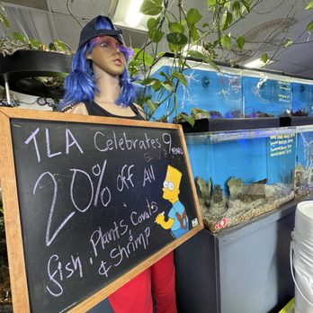 The Love Aquarium - Aquarium Services Near Me - Escondido, California The Love Aquarium - Aquarium Services Near Me - Escondido, California