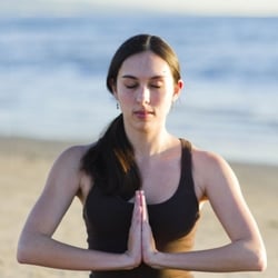 Vedic Synergy