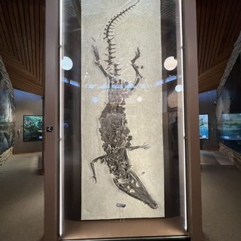Fossil Butte National Monument - Floor to ceiling amazement. - Museums Near Me - Kemmerer, Wyoming