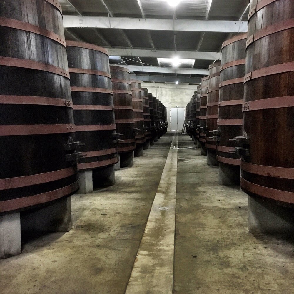 L.A. Cetto - Wine Tasting Room Near Me - Tijuana, BCN