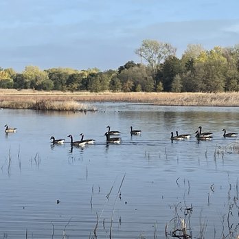 Cosumnes River Preserve - Parks Near Me - Galt, California