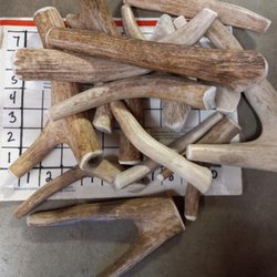 Michigan Antler Chews