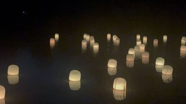 teamLab Botanical Garden Osaka by null