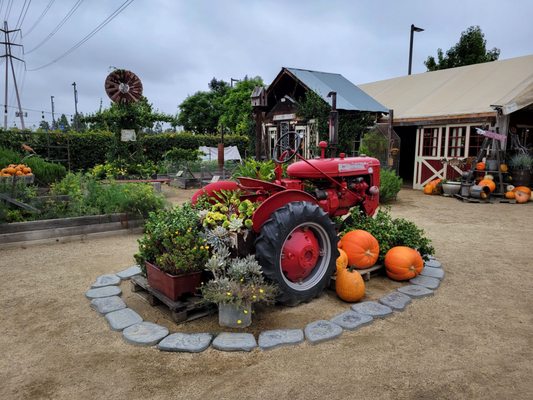 The Original Manassero Farms Market - Irvine by null