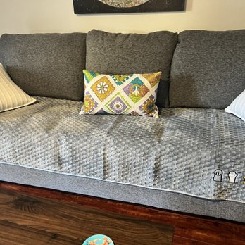 Living Spaces - Got a cover to protect the new couch - Furniture Stores Near Me - Fremont, California Living Spaces - Got a cover to protect the new couch - Furniture Stores Near Me - Fremont, California