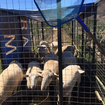 Baja Winery Tours - Wine Tours Near Me - San Diego, California