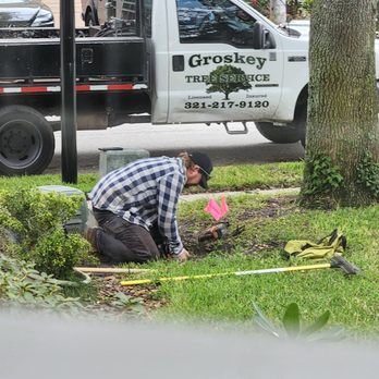 Groskey’s Tree Service - Tree Services Near Me - Orlando, Florida Groskey’s Tree Service - Tree Services Near Me - Orlando, Florida