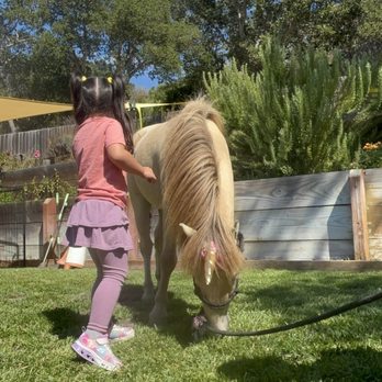 D'Rose Petting Zoo - Petting Zoos Near Me - Gilroy, California