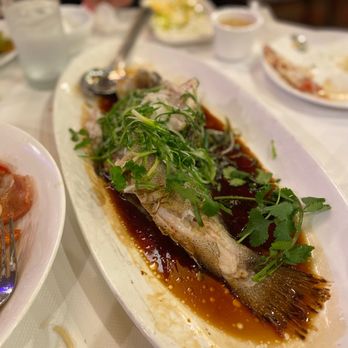 Koi Palace - Fish of the Day - Dim Sum Near Me - Milpitas, California Koi Palace - Fish of the Day - Dim Sum Near Me - Milpitas, California