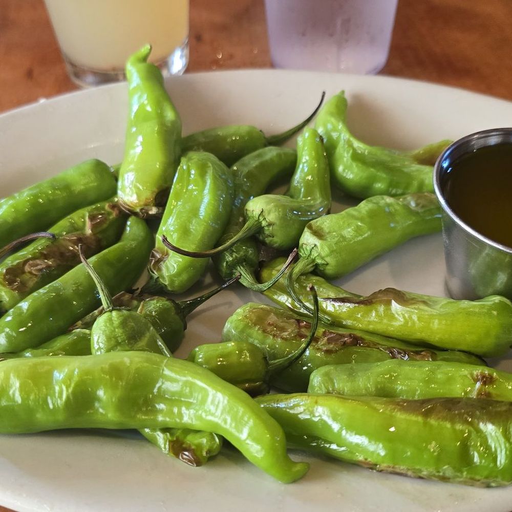 American Flatbread - Vegan Grilled Shishito Peppers with garlic oil substituted for aioli - Pizza Near Me - Rockport, Maine