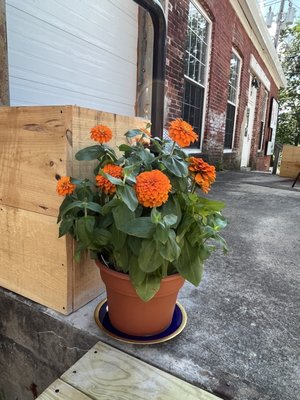 Inspire Cafe by null