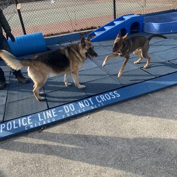 Jackson Bark - . - Dog Parks Near Me - Chicago, Illinois
