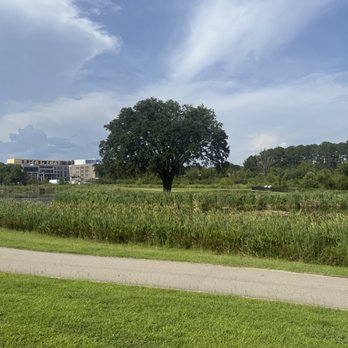 Page Ellington Park - Dog Parks Near Me - Columbia, South Carolina