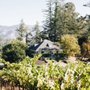 Photo of Theorem Vineyards