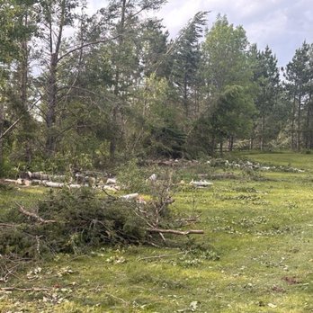 Precision Clearing Services - Before - Tree Services Near Me Precision Clearing Services - Before - Tree Services Near Me
