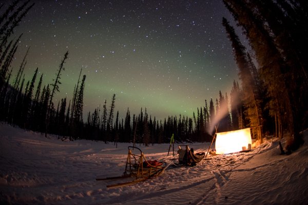 Alaska Homestead Adventures by null
