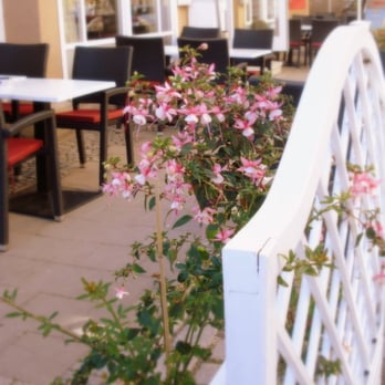 12 Apostel - Italian Near Me - Arnstadt, TH