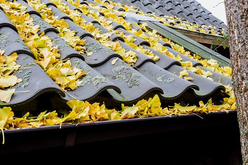 Gutter Cleaning and Repair - Every gutter cleaning we do begins with removing and blowing all debris from the roof, cleaning all debris within the gutters, cleaning the property and draining all of your gutters and downspouts to ensure proper drainage.