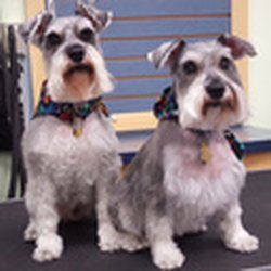 Heston Veterinary Medical Center