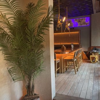 Costera Cocina Tulum - Chicago - Mexican Near Me - Chicago, Illinois Costera Cocina Tulum - Chicago - Mexican Near Me - Chicago, Illinois